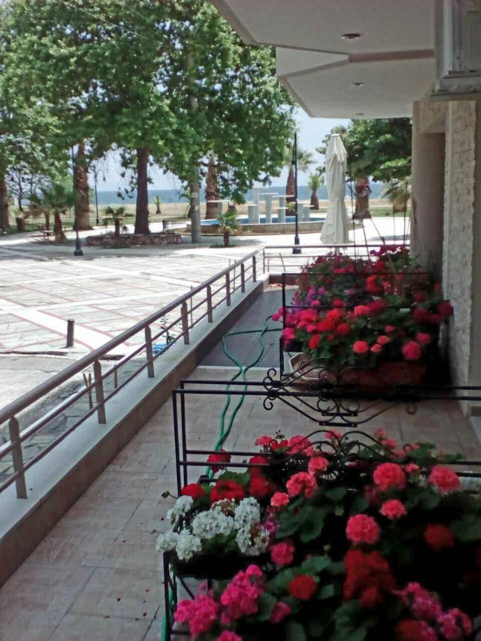 Al Mare Daire Asprovalta Oda fotoğraf